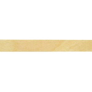 H32704 Tongue Depressor